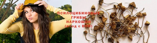 не бодяженный Баксан
