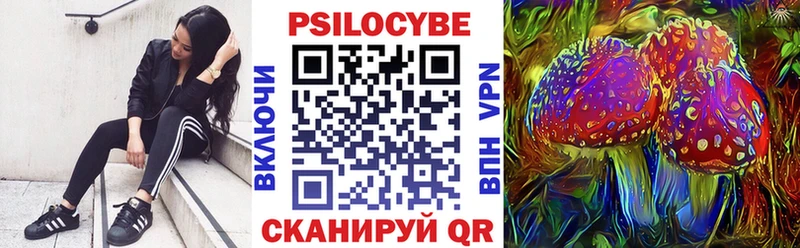 Псилоцибиновые грибы GOLDEN TEACHER  Гудермес 
